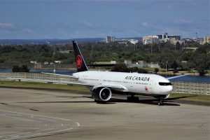 Airlines That Allow Pets In-Cabin