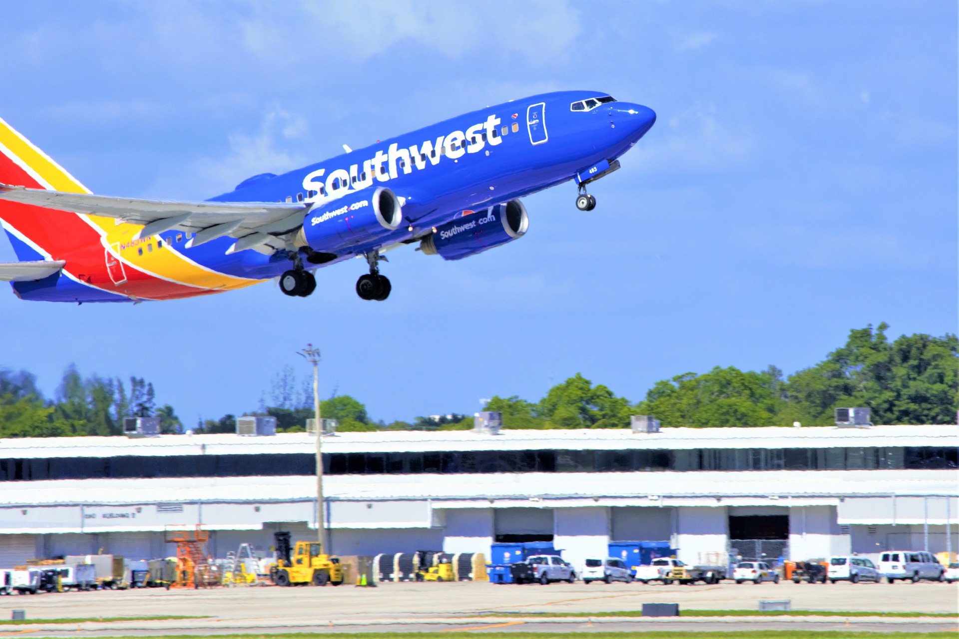 Airlines That Allow Pets In-Cabin - Travelstuck