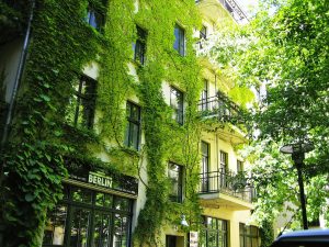 Gems in Berlin You Won’t Find in a Guidebook