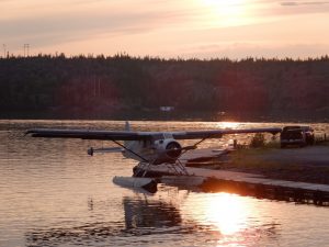 Bush Plane 