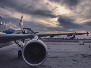 Airlines that allow pets in-cabin