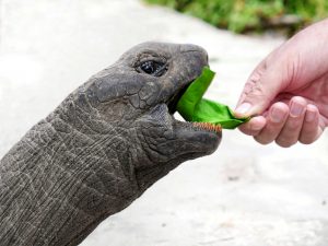 Reasons To Add The Seychelles To Your Bucket List