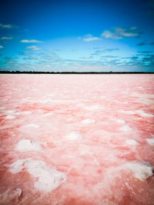 Pink Lake