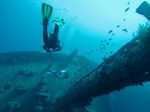 All You Need To Know About Scuba Diving In Malta